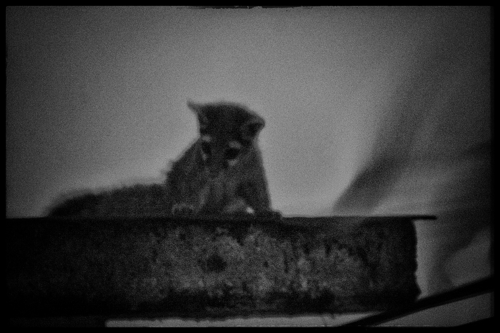 Foto 20